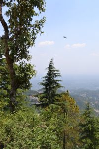 mcleodganj