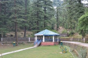 mcleodganj3