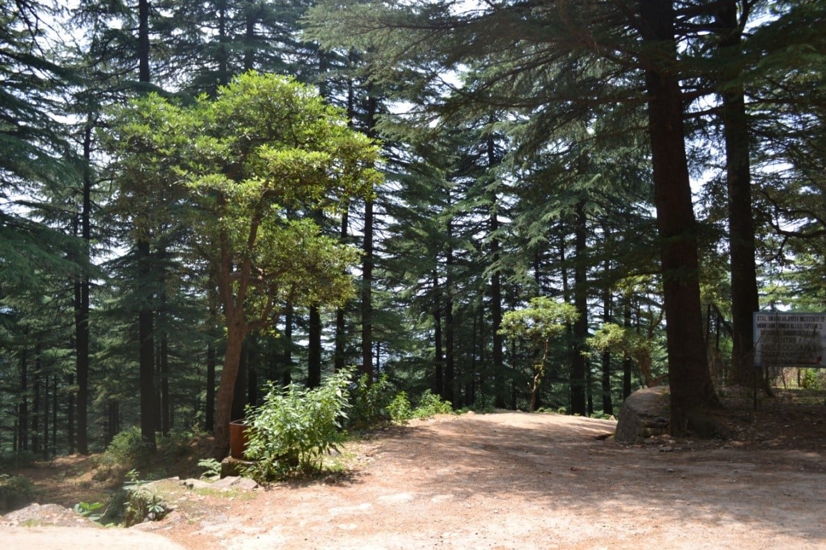 Mcleodganj