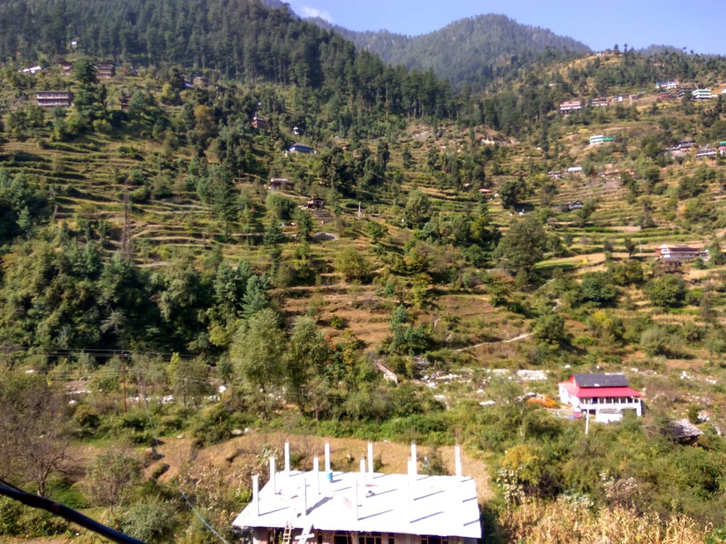justwravel_jibhi6