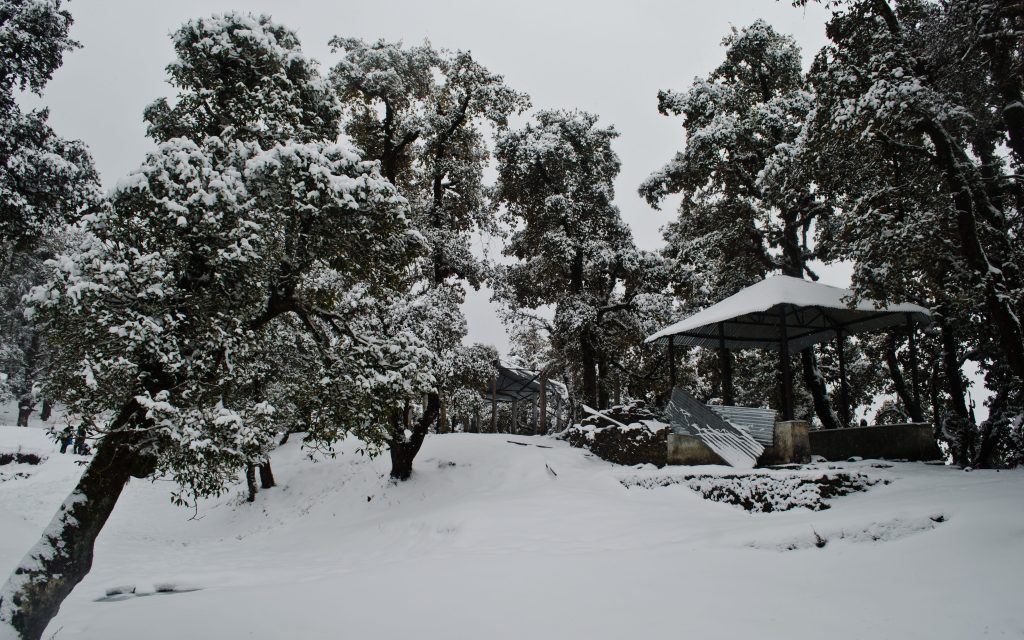 Nag Mandir Snow Trek Nagtibba JustWravel Nag Mandir Snow Trek Nagtibba