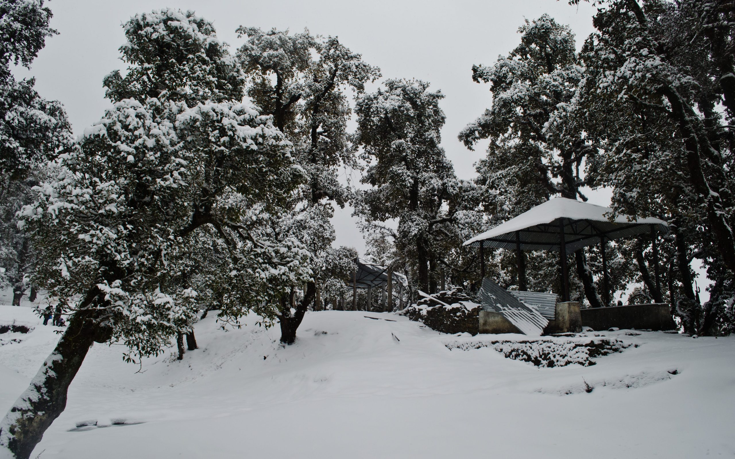 Weekend snow nag tibba trek Justwravel
