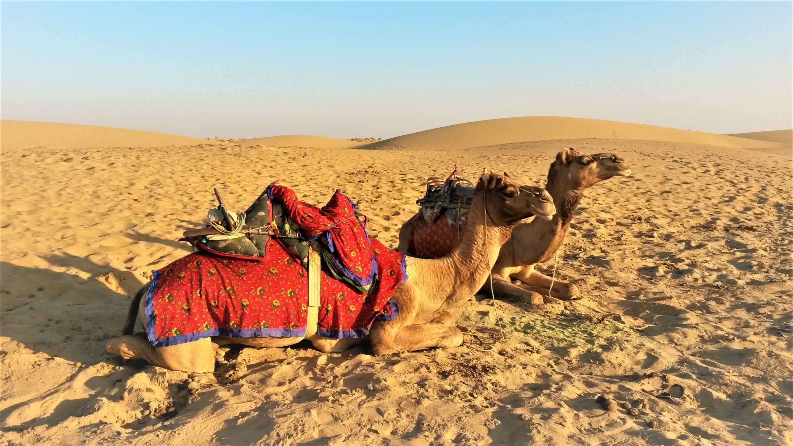 rajasthan tourism justwravel