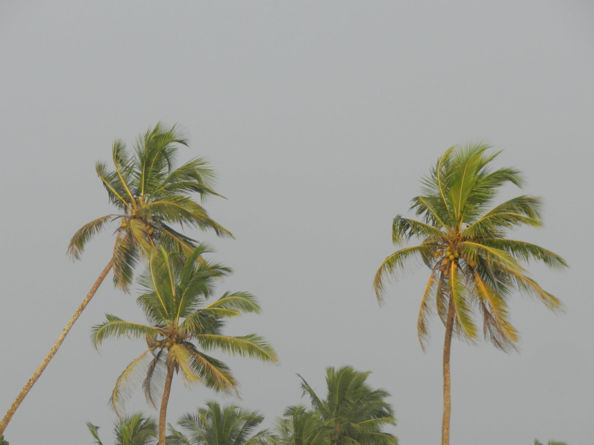 offbeat things to do in Goa