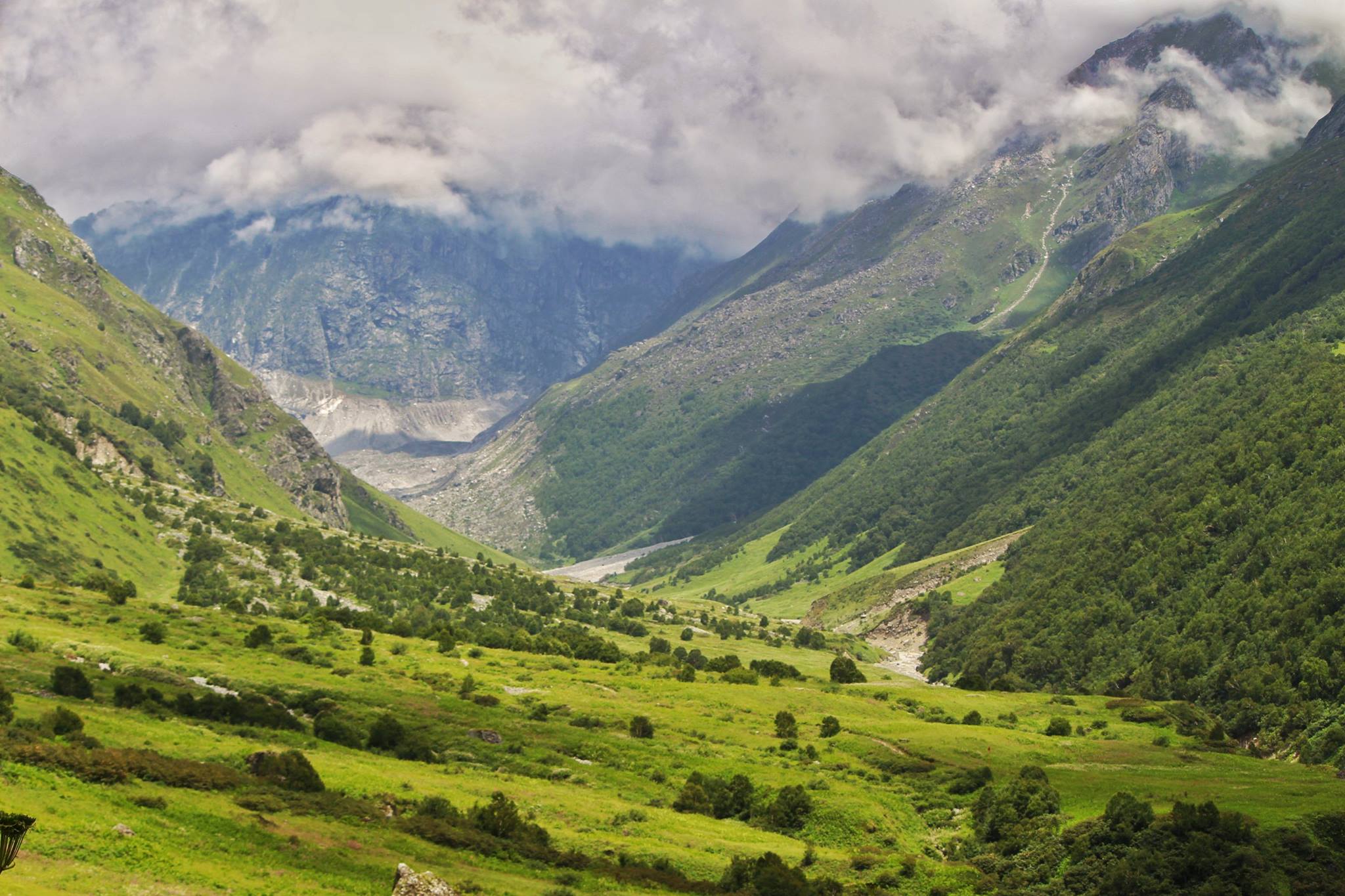 Valley of Flowers trek