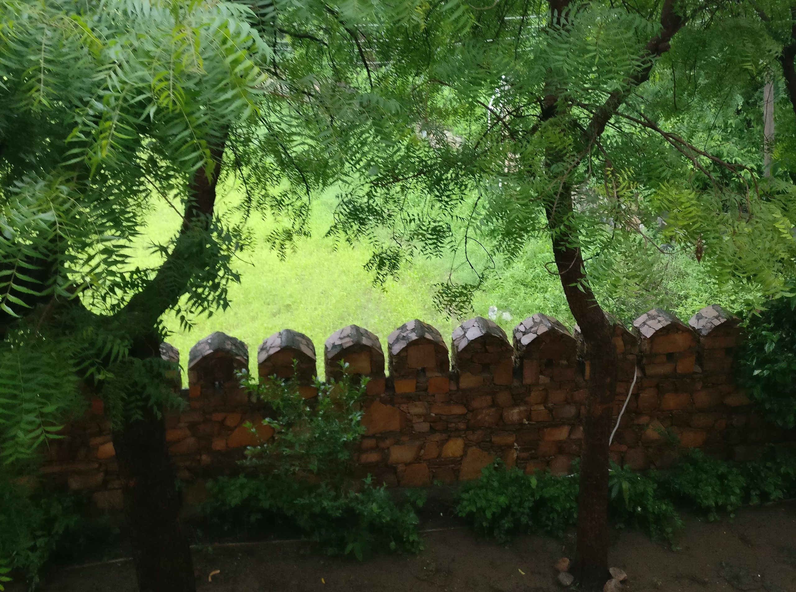 national parks in Rajasthan justwravel
