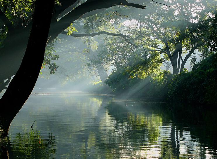 105-Alappuzha