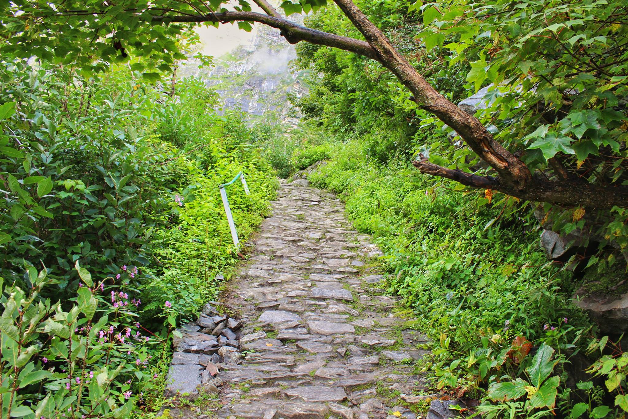 Treks to do in Monsoon Season justwravel