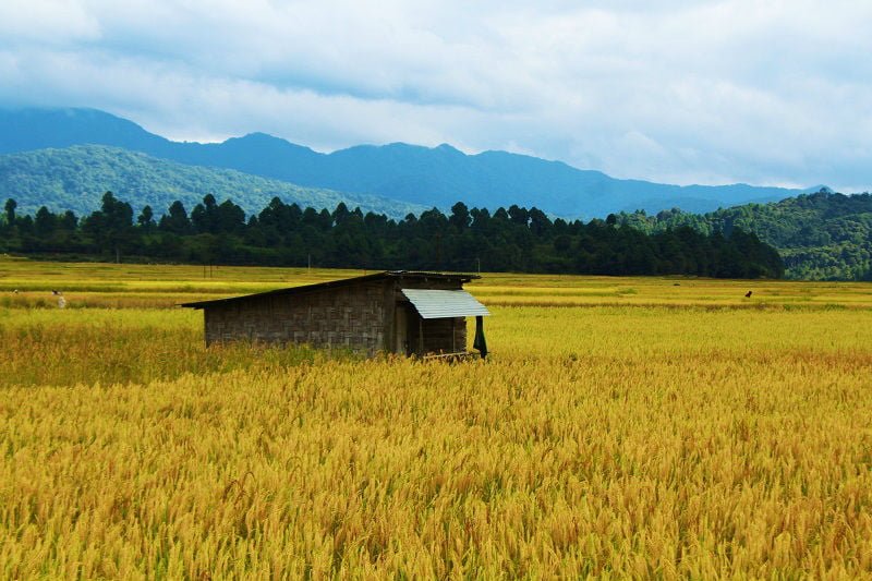 Amazing-scenes-at-Ziro-Valley-Arunachal-Pradesh