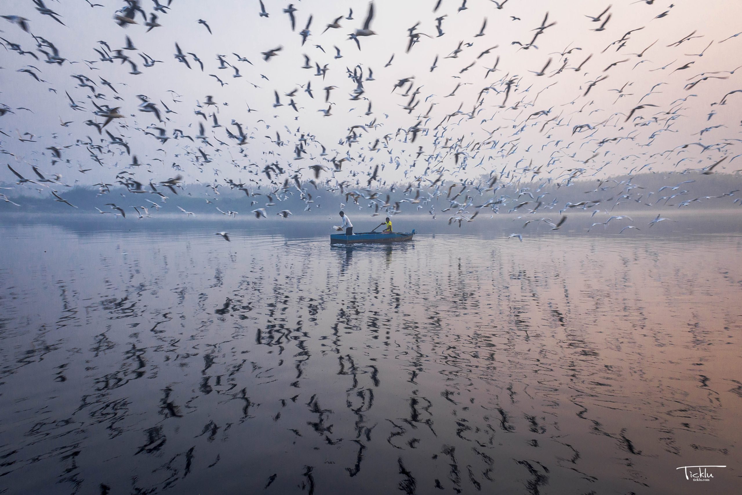 Road trips from delhi under 6000