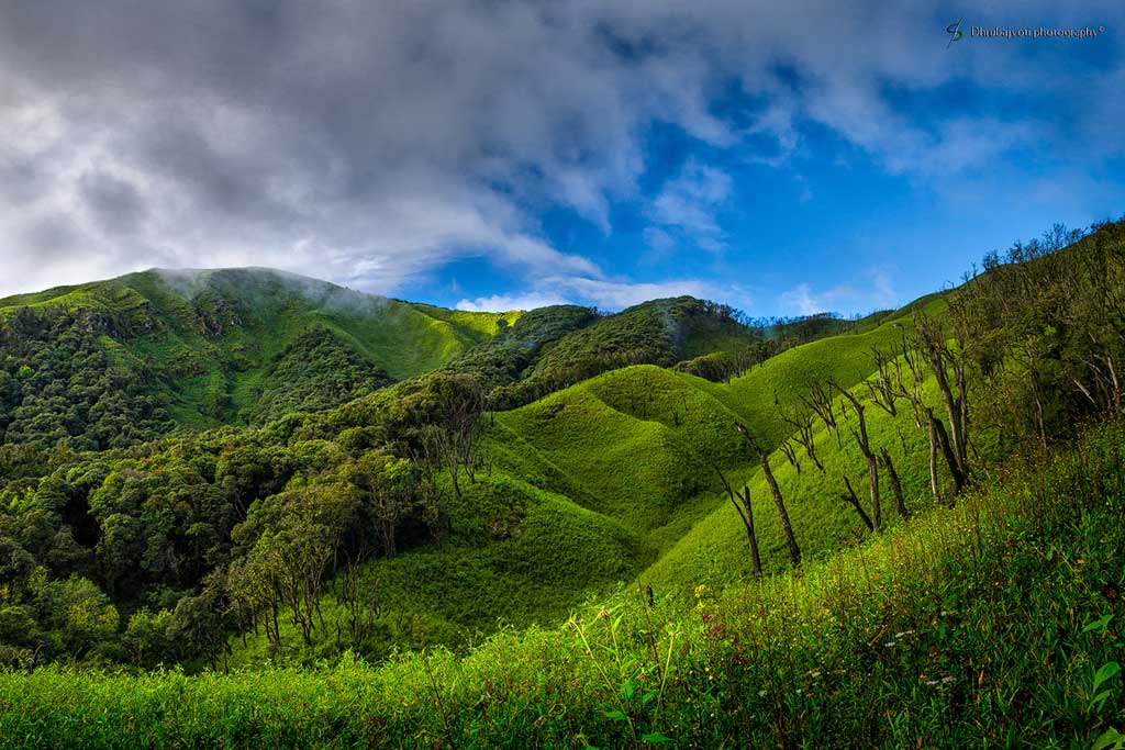 Dzukou Valley