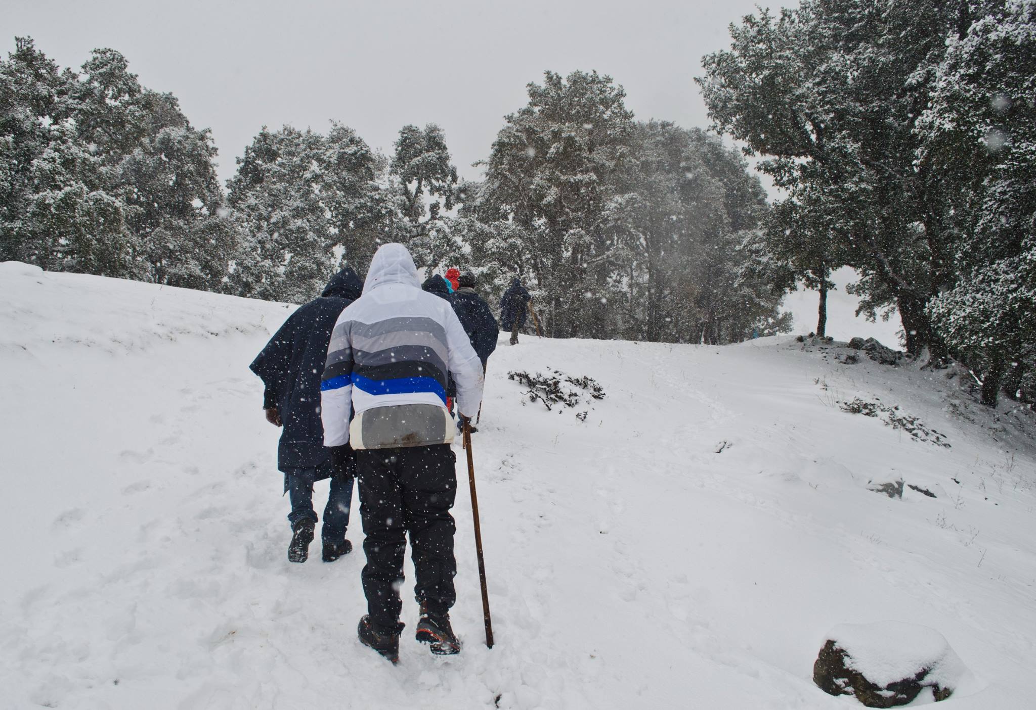 Best Himalayan Treks for Beginners