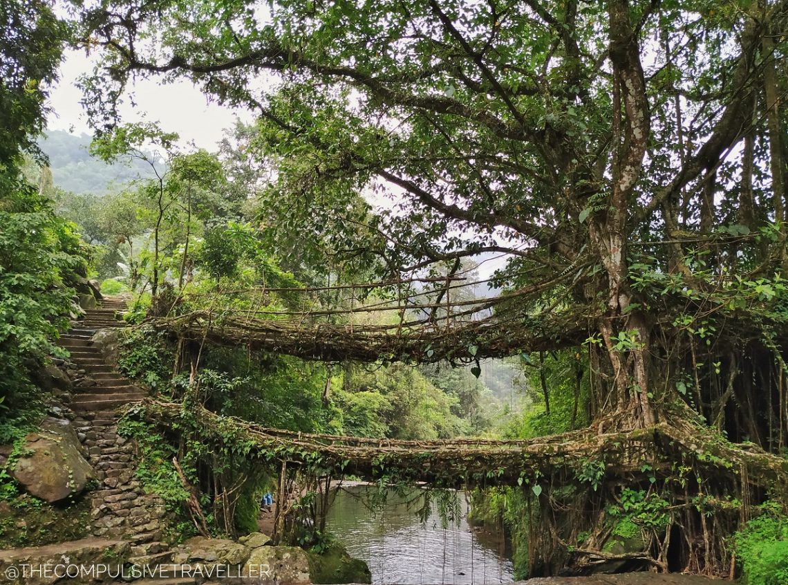 reasons to visit meghalaya justwravel