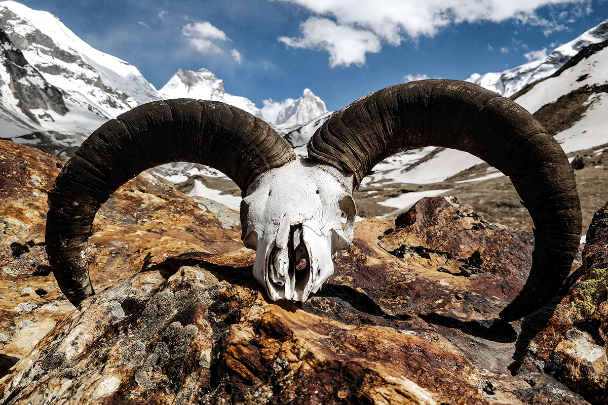 Best Himalayan treks to do in December