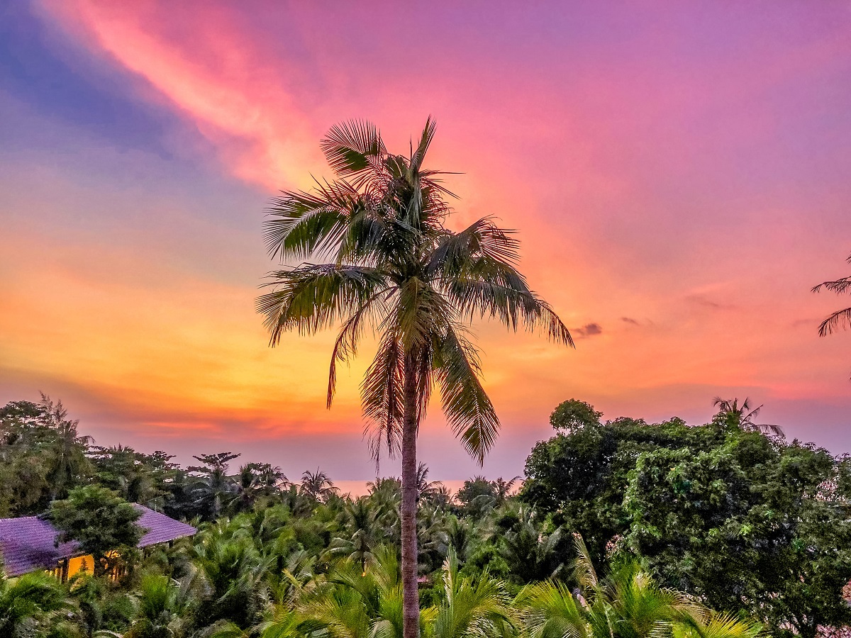 visit vietnam justwravel