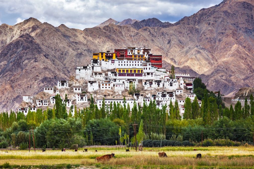 Thiksey Monastery in Ladakh. Buddhism. Monasteries in India. Travel Stories. Backpacking Ladakh.