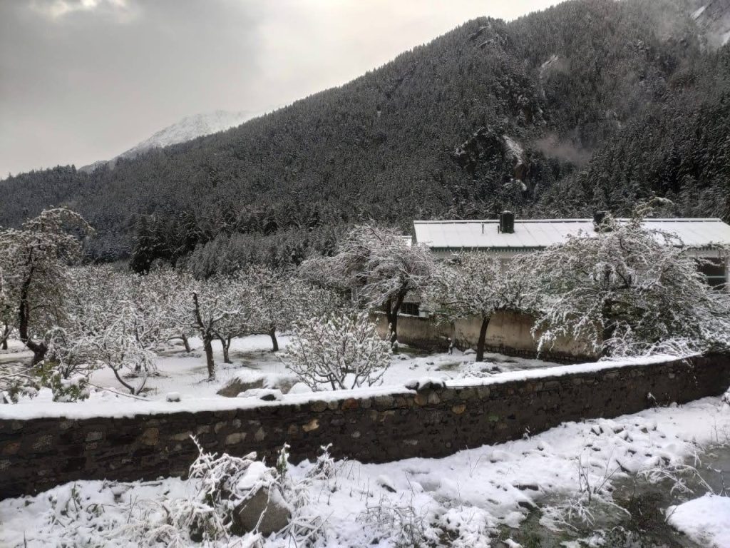 Snowfall in the North