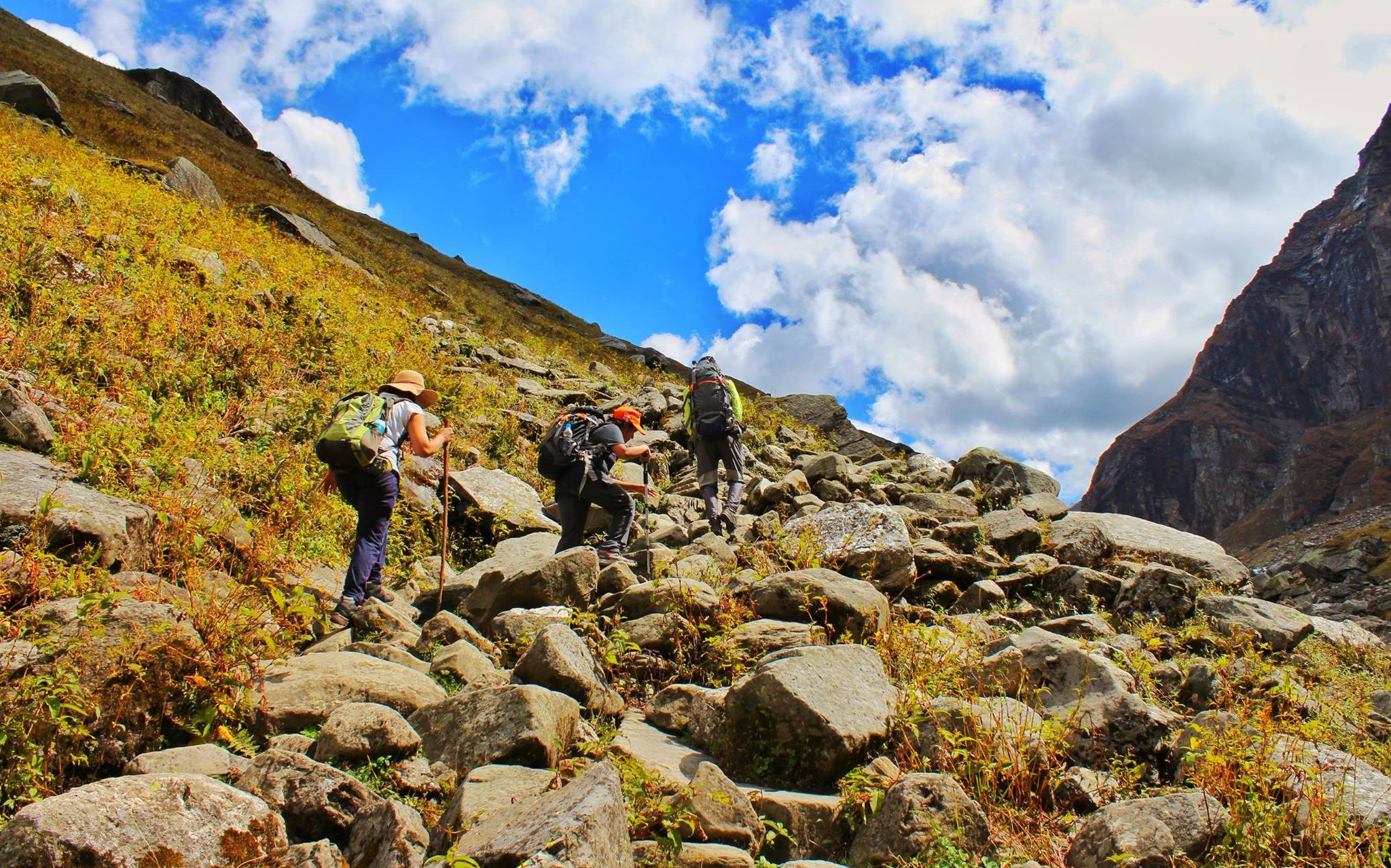 Best summer treks
hampta pass