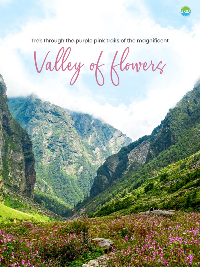 Valley of flowers trek