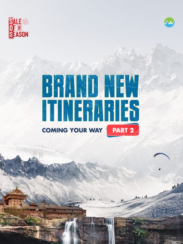 Cover (6)