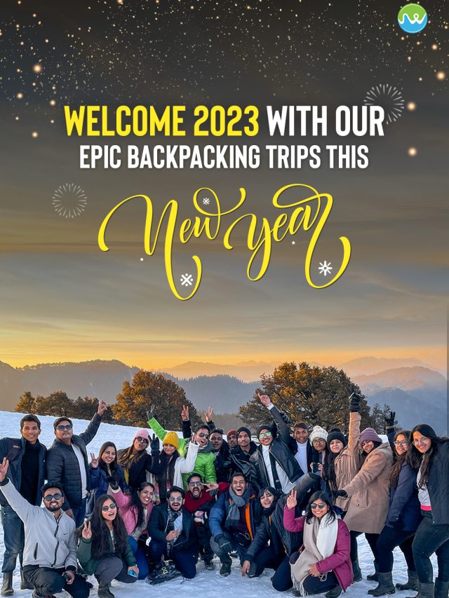 Trips in 2023