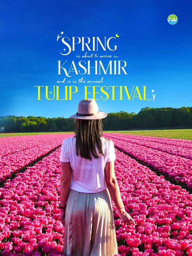 Kashmir in Spring