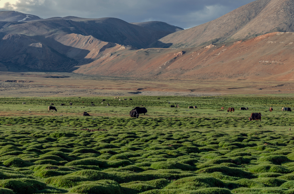 hidden places in Ladakh