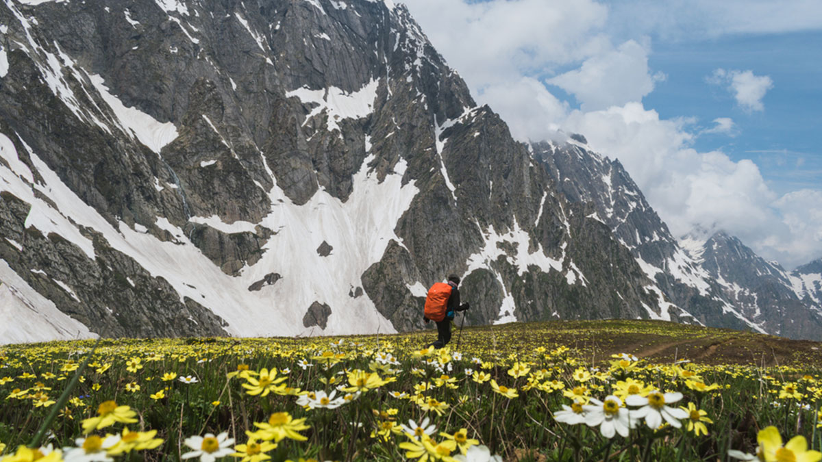 kashmir-great-lakes-trek-justwravel