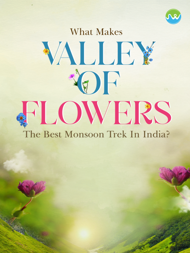 Valley of flowers trek -best monsoon trek