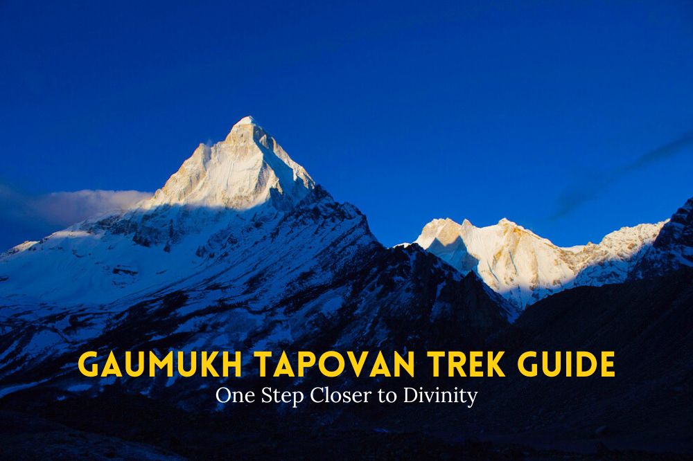 A detailed guide of Gaumukh Tapovan