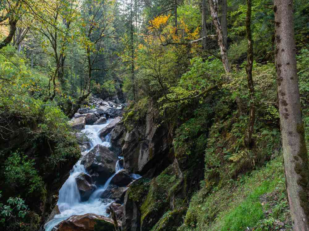 Scenic View from Kheerganga