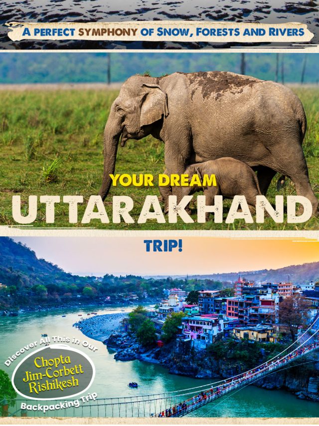 Chopta, Jim Corbett and Rishikesh Backpacking Trip in Uttarakhand
