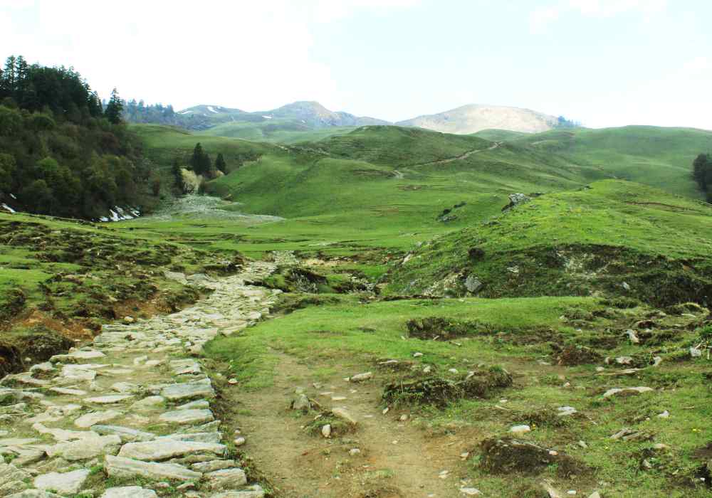 Dayara Bugyal Trail covered with Lush Green Meadows
