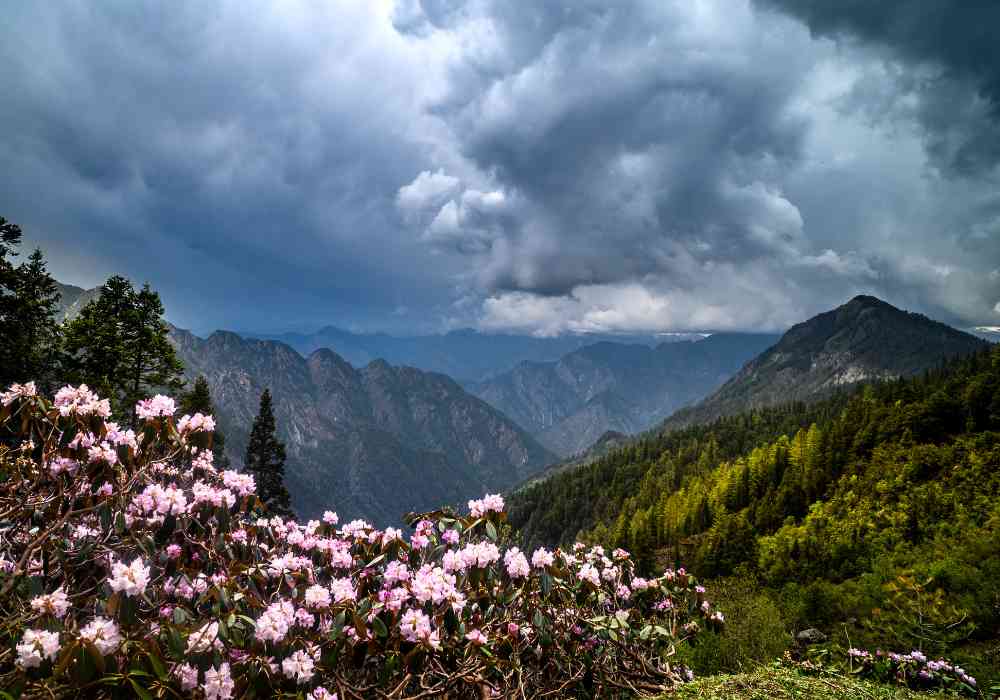 Vibrant Sar Pass Trek