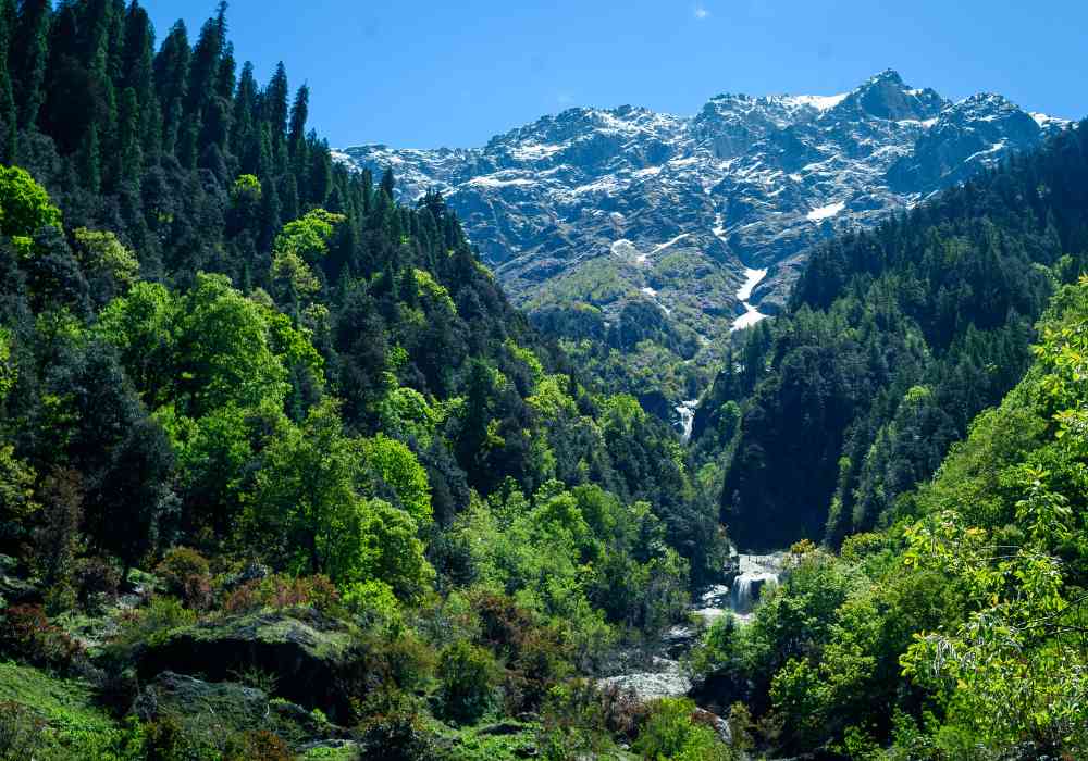 Diverse Landscapes of Sar Pass Trek