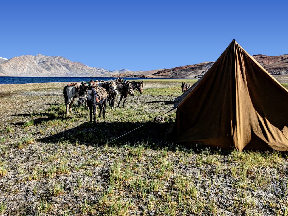 Camping in Ladakh