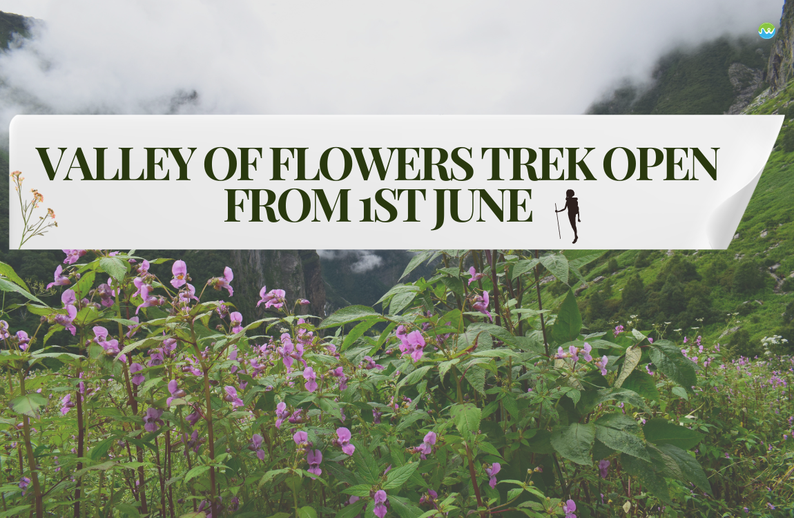 Valley of Flowers Trek is open