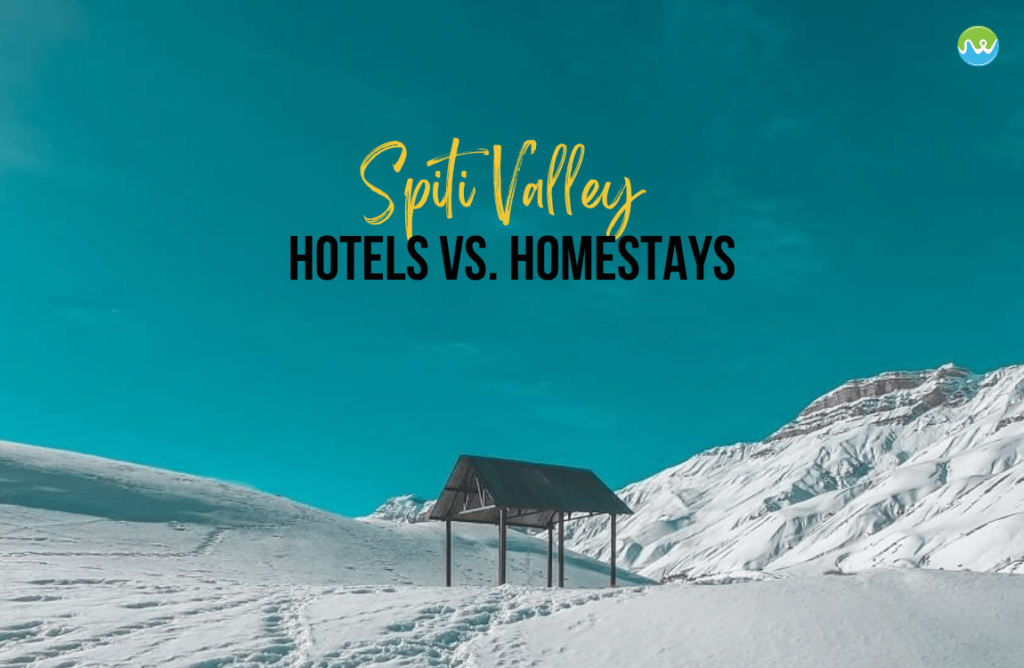 Homestays vs. hotels