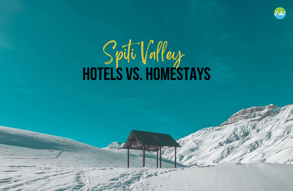 Homestays vs. hotels