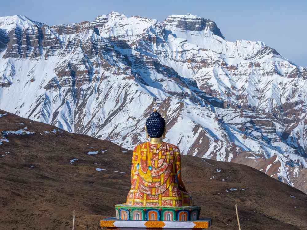 Spiti Valley Hotel vs. Homestays