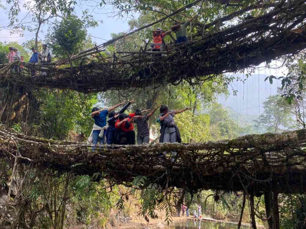 Living Root Bridge, Meghalaya