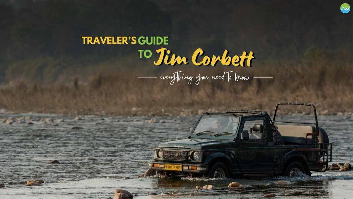 Traveler’s Guide to Jim Corbett: Everything You Need to Know