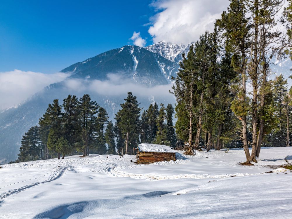 Beautiful view of Pahalgam valley in Pahalgam, Kashmir