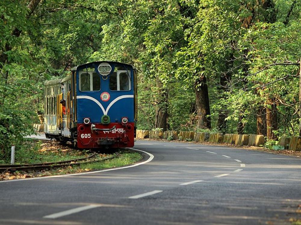 Toy Train of Darjeeling