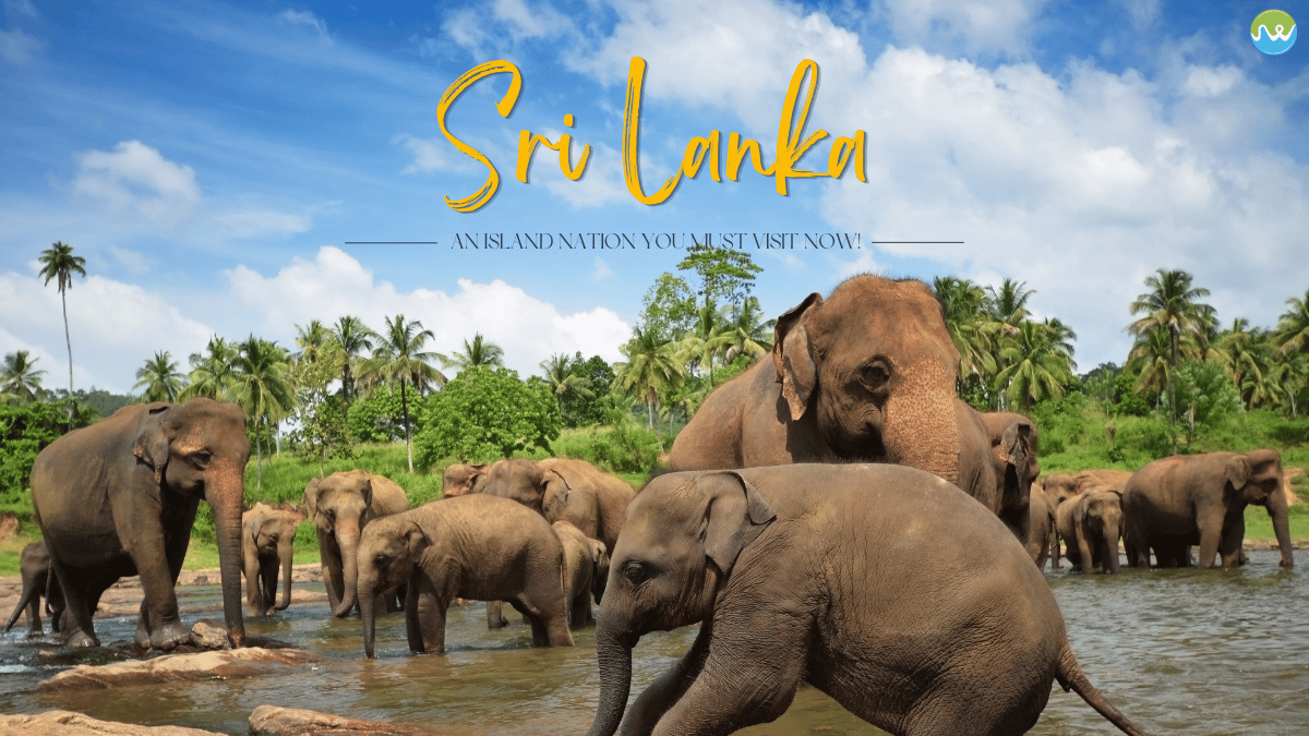 sri lanka tourism