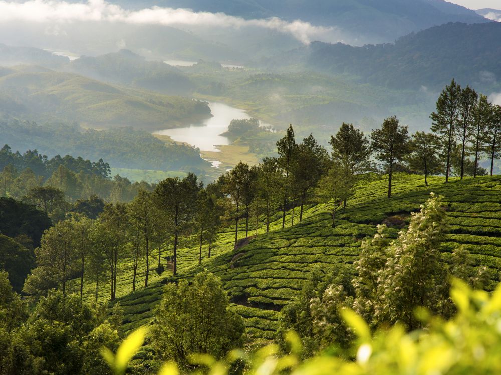 Munnar hill station in Kerala