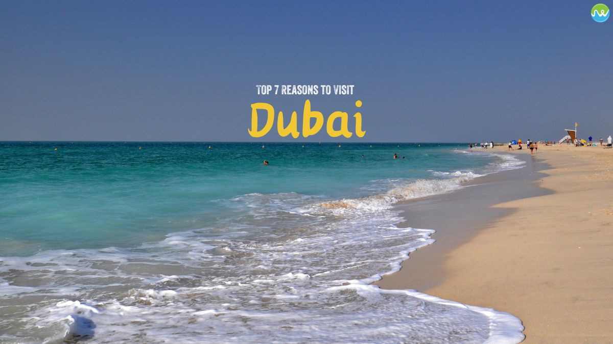 Top 7 reasons to visit Dubai