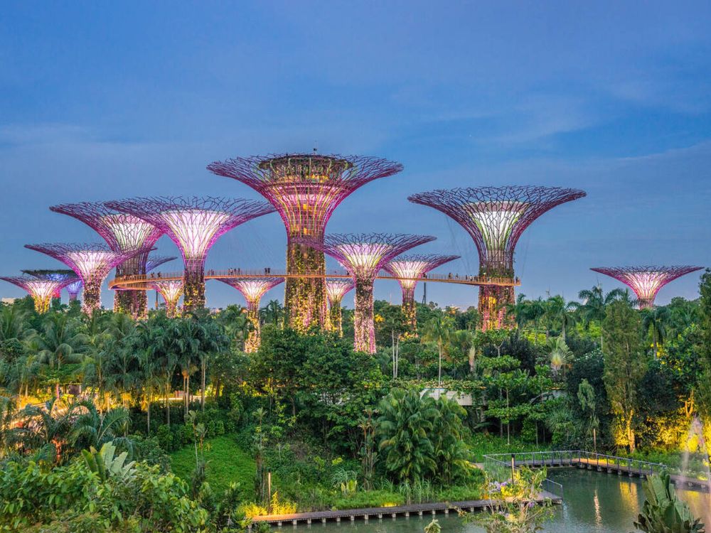 Gardens by the Bay, Singapore