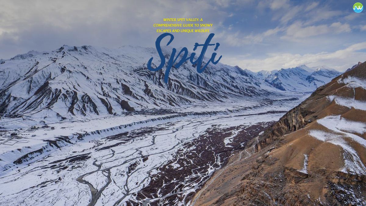 Winter Spiti guide