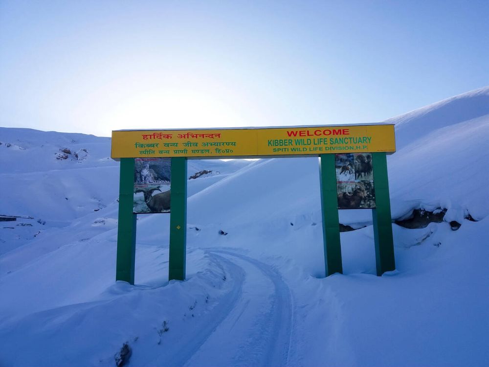 Kibber Wildlide Sanctuary, Spiti Valley
